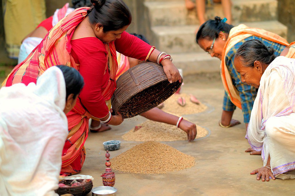 Nabanna: A Celebration of Harvest and Gratitude in Bengal