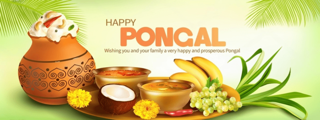 Pongal Festival: A Celebration of Harvest, History, and Harmony